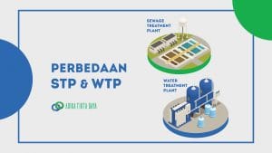 Read more about the article Perbedaan STP dan WTP