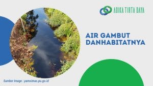 Read more about the article Air Gambut dan Habitatnya
